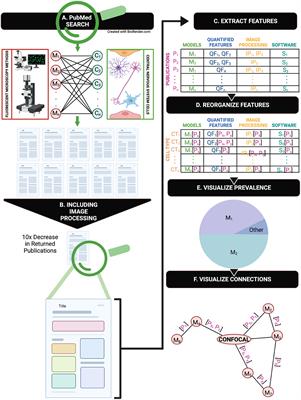 Prevalence and practices of immunofluorescent cell image processing: a systematic review